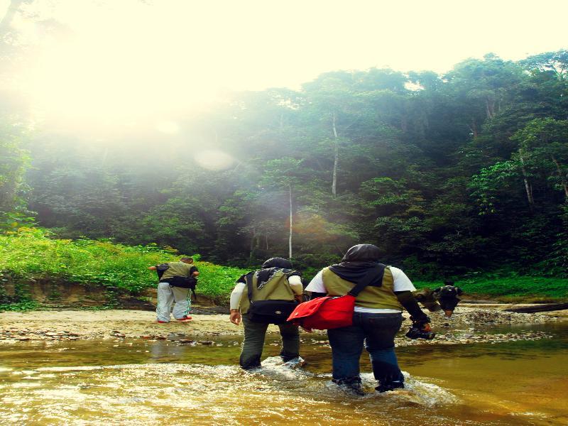Belum Rainforest Resort Gerik Exterior foto