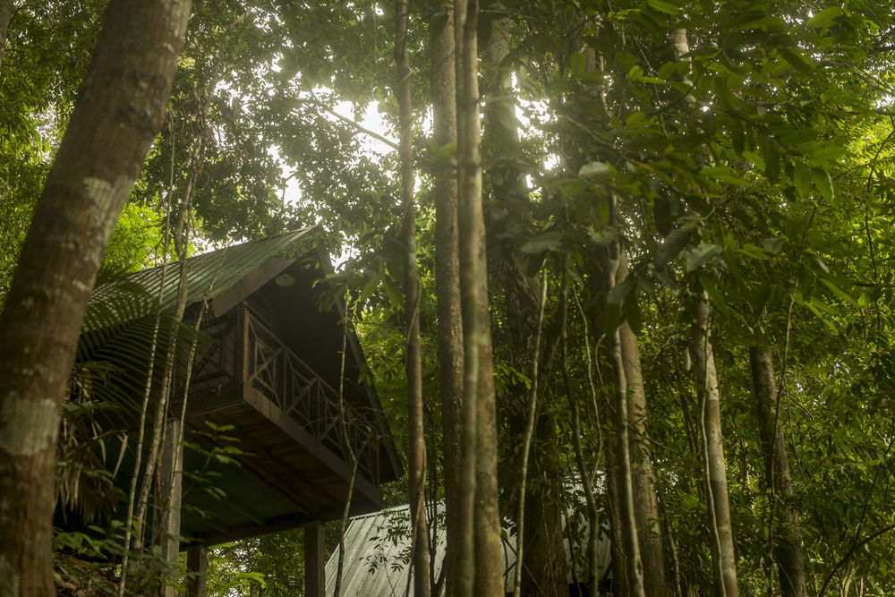 Belum Rainforest Resort Gerik Exterior foto